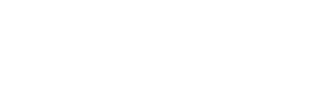 Proflex | codeno.ai
